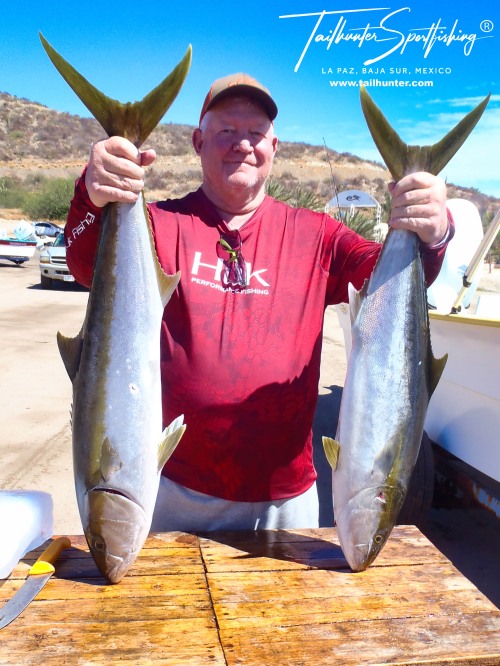 Yellowtail action is improving, but the trick is getting out to the spots and sometimes ploughing through windy and rough seas. Kip Slaugh from Utah has been a long-time amigo making several trips a year poses with a double handful of forktails. 